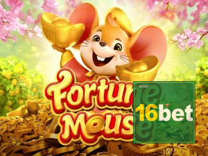 16BET login — configurações de segurança e proteção de conta